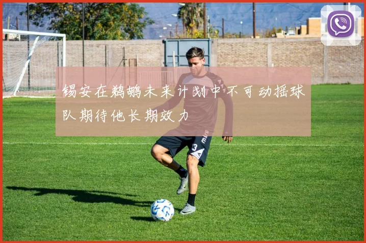 锡安在鹈鹕未来计划中不可动摇球队期待他长期效力